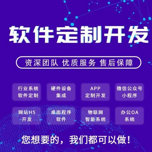 软件定制开发 软件定制开发
